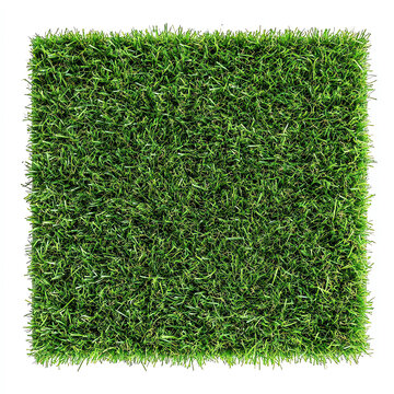 Vibrant green grass in a neatly trimmed square formation, perfect for enhancing outdoor spaces and creating a fresh, natural look in gardens or landscaping projects.