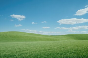 Obraz premium Green Grass Under Blue Sky