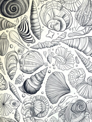 Seashells sea life pattern, black monochrome simple line seamless ink drawing, white background
