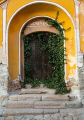 a brown door with overgrown creeper and yellow wals