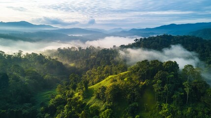 Fototapeta premium Green World