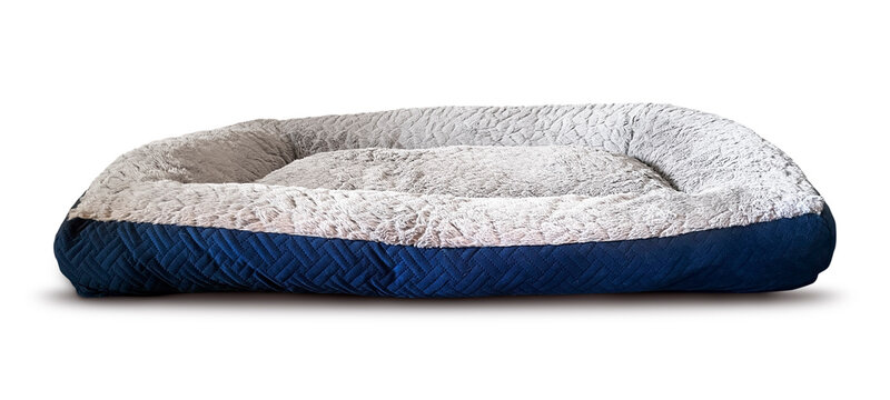 Isolated Empty Dog Bed Cushion