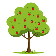 Healthy Tree Bearing Apples in a Green Field