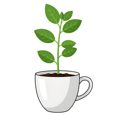 A Plant Growing in a Coffee Cup