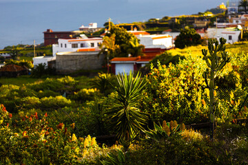 the landscape on the north coast of tenerife island