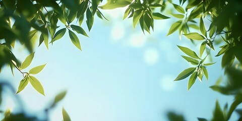 A calming summer composition with blurred green leaves and a clear blue sky glowing softly.