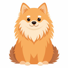 Obraz premium pomeranian dog isolated on white, Color vector illustration. Pet animal, Cartoon Vector 