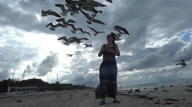 Woman feeding seagulls, slow motion 
