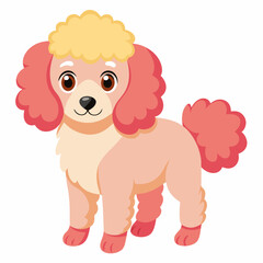 Obraz premium poodle dog isolated on white, Color vector illustration. Pet animal, Cartoon Vector 