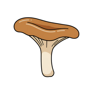 Wild Mushroom with Curved Cap and Short Stem