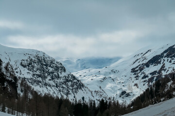 Obraz premium Snow-covered mountains rise majestically in Matrei in Osttirol, Austria, their peaks veiled in mist. Pine trees stand guard at the base. Alpine scenery. Remote winter landscape in Austrian Alps