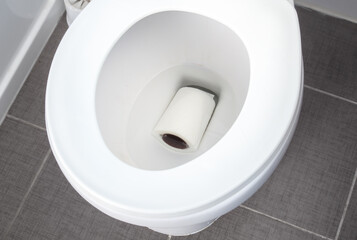 Clogged toilet bowl with toilet paper roll. Toilet blockage or clog cleanup. Pets or kids drainage...