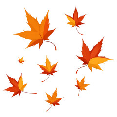 vibrant autumn maple leaves in warm red and orange tones seasonal foliage perfect for fall-themed designs, digital artwork, prints and nature-inspired decorative projects	