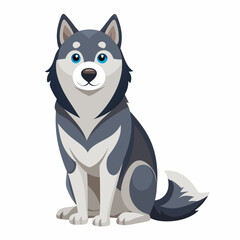 siberian husky dog isolated on white, Color vector illustration. Pet animal, Cartoon Vector 