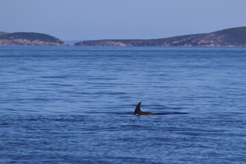 Fototapeta premium seascape