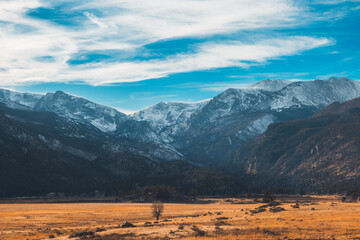 Snow Capped Rockies Over Golden Meadow