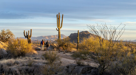 Couple Holding Hands Hiking Om Desert Trail In Arizona With Cactus & Mountain Backdrop