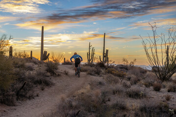Man Riding Mountain Bike On Desert Trail At Sunrise Time In Arizona