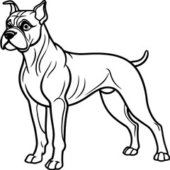 Fototapeta premium Boxer Dog Illustration: Black and White Standing Pose