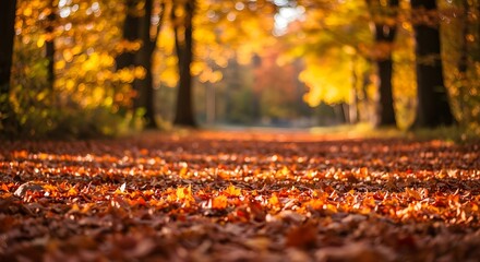 fondo de hojas de otoño

