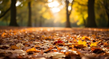 fondo de hojas de otoño
