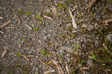 Background of grey gravel road with broken wood pieces and grass