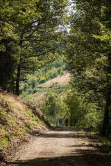 Obraz premium Sunlit gravel road with tree alley around it and a hill in the background, North Rhine-Westphalia, Germany