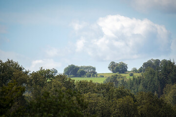 Obraz premium Hilltop with leaf trees and bright green grass field with blue cloudy sky in the background, North Rhine-Westphalia, Germany