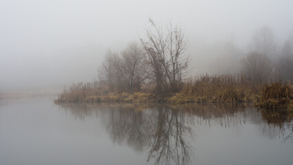 serene misty natural landscape. river banks with dry reeds and bare trees. calm water with reflection and fog in wet weather. beautiful horizontal photo in 10x5 format
