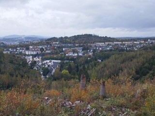 autumn landscape with trees and mountains
