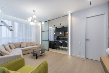 Studio apartment with living room and kitchen behind a sliding glass door. Stylish designer furniture.