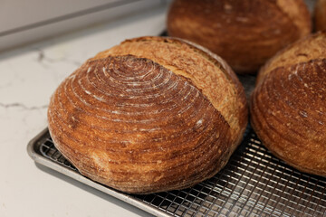 Freshly Baked Bread