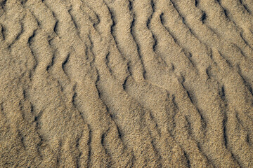 Sand desert background and texture