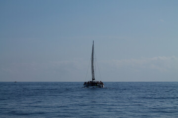 Sailboat on a Calm Ocean
