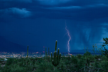 Monsoonal lightning action as a single bolt strikes the ground behind a giant saguaro cactus near...