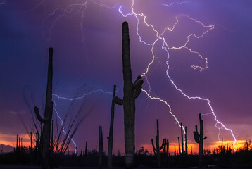 Sunset lightning at Dove Mountain in southern Arizona near Tucson and Marana.