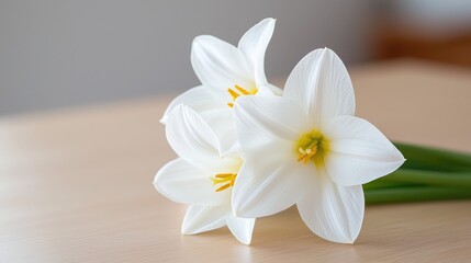 White rain lilies on wooden table, soft background, home decor