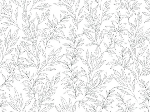 Seamless floral background of leaves. Botanical clip art. Leaves branches sketch. Vector  Line drawn leaves .Vector  floral decor.