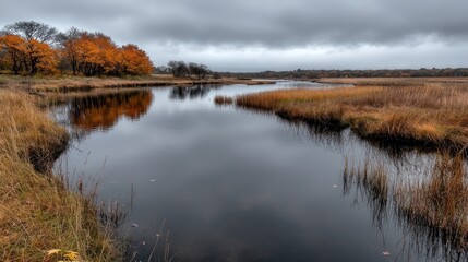 Fototapeta premium Autumnal River Reflections; Calm waterway reflecting fall foliage under overcast sky; Nature scenic; Peaceful landscape; Use Stock photo