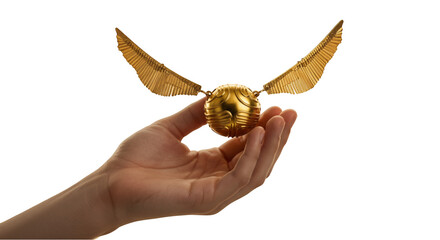 Golden Ball with Wings: An Enchanting Capture of Magical Flight with Extended Wings of Wonder