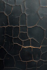 Cracked black surface with intricate patterns showcasing texture and depth