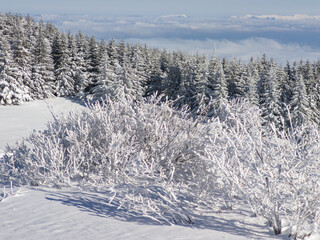 Winter Landscape of Vitosha Mountain, Bulgaria