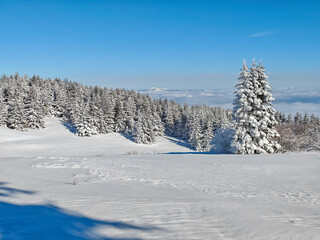 Winter Landscape of Vitosha Mountain, Bulgaria
