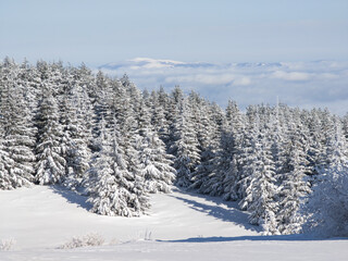Winter Landscape of Vitosha Mountain, Bulgaria