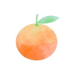 水彩風夏みかんのイラスト