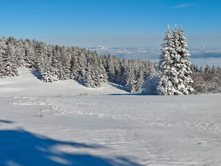 Winter Landscape of Vitosha Mountain, Bulgaria