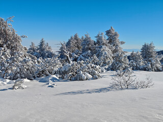 Winter Landscape of Vitosha Mountain, Bulgaria