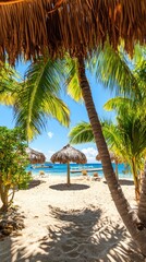 Obraz premium Tropical beach umbrellas under palm trees