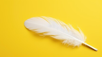 Obraz premium A delicate white feather gracefully rests on a vibrant yellow background, perfect for adding a touch of elegance.