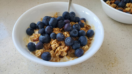 Healthy Bowl of yogurt with granola topped with fresh blueberries